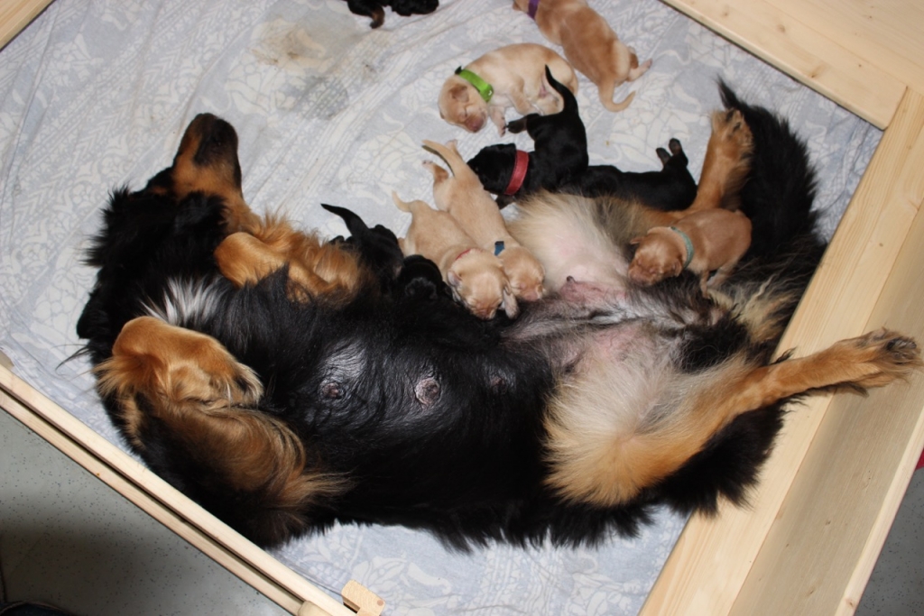 Entspannung_von_oben