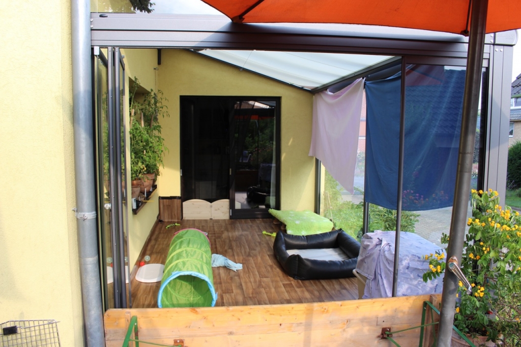 welpenzimmer im Hitzemodus