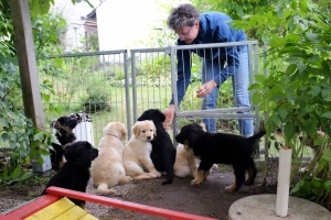 Amba kletterte Tür zu