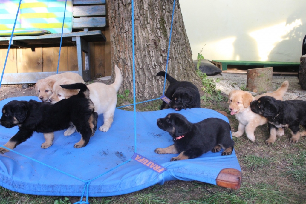 fast alle auf der Matte