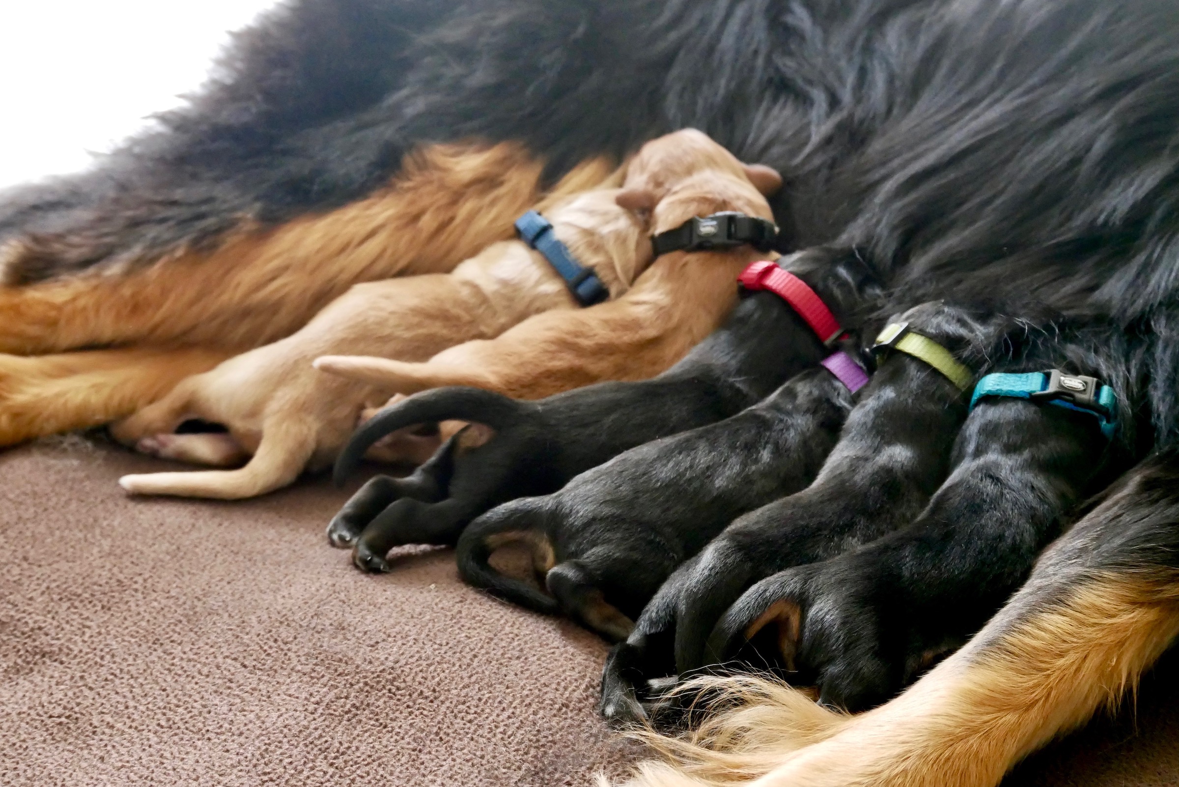 in reih und glied-2 2